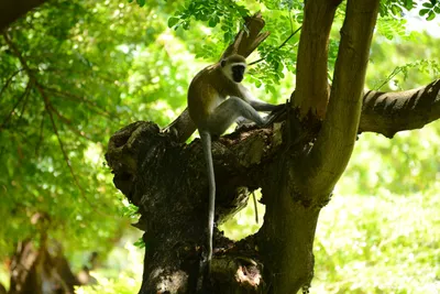 DSC_7865 (Large).JPG